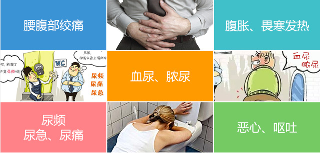 肾结石是怎么形成的(图1)