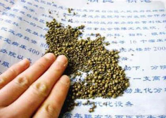 听说泥沙型胆结石很恐怖，我要怎么办？(图1)